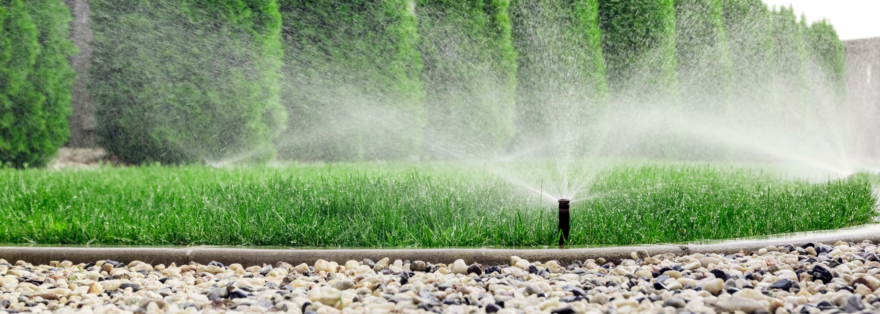 Sprinklers watering grass, green lawn in garden